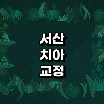 서산시 교정 치과