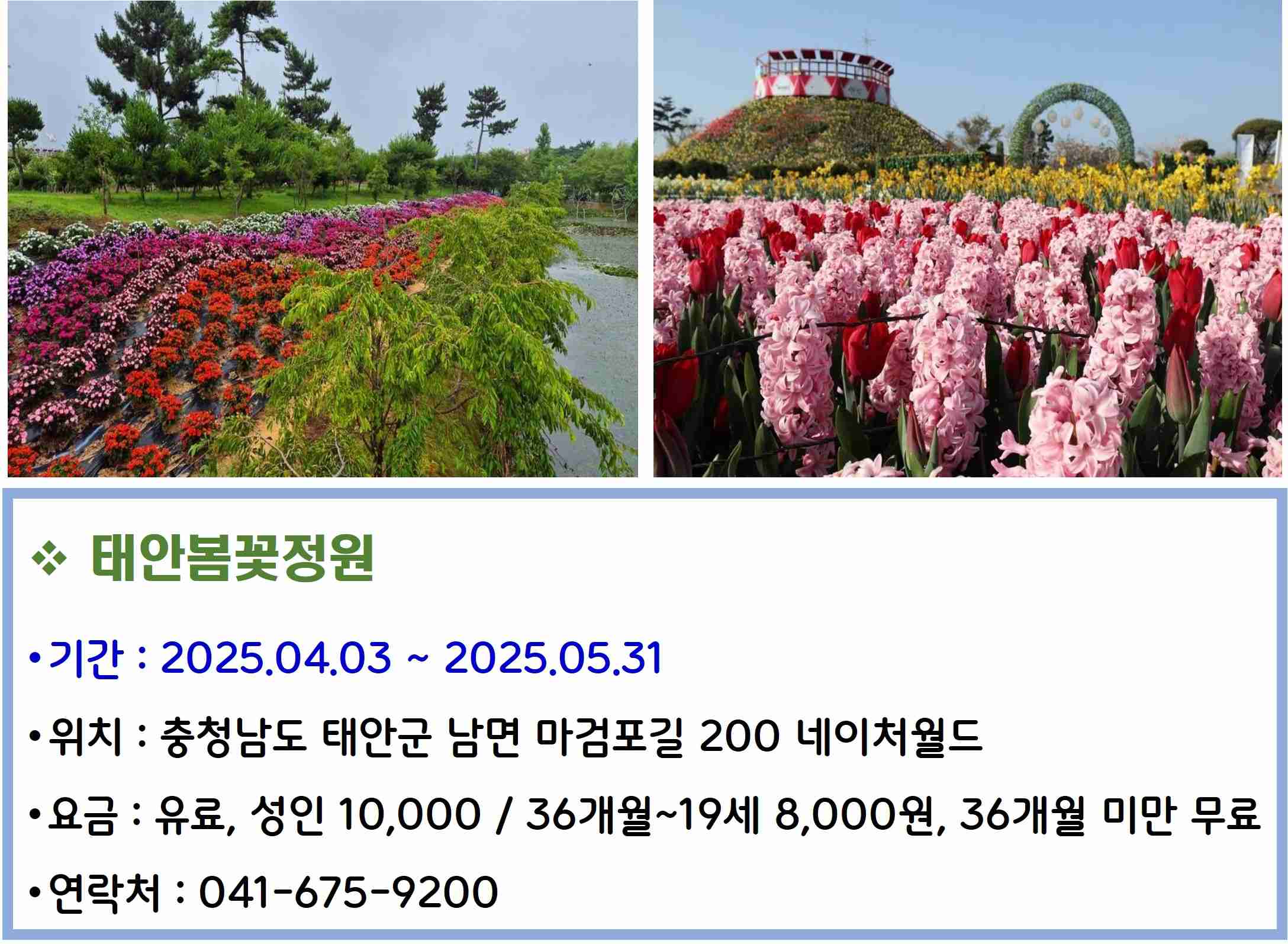 태안봄꽃정원