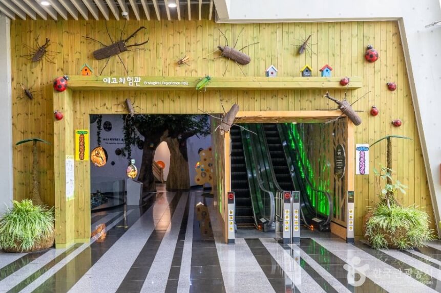 구미 가볼만한곳 베스트 10