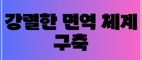면역체계 구축