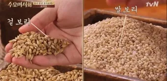 겉보리와 쌀보리의 차이와 가격 비교_9