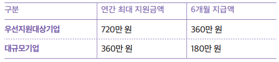 고용촉진장려금