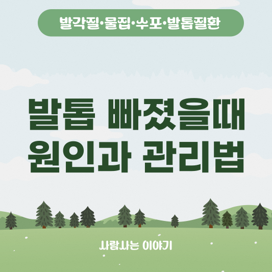 발톱 빠졌을 때, 원인과 새 발톱 자라기까지 관리법