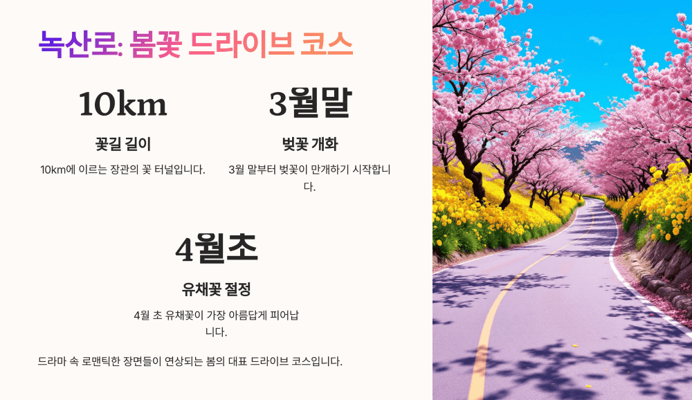 녹산로: 봄꽃 드라이브 코스