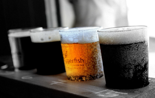 광주 수제 맥주의 자존심, '트레비어' 브루어리 체험기