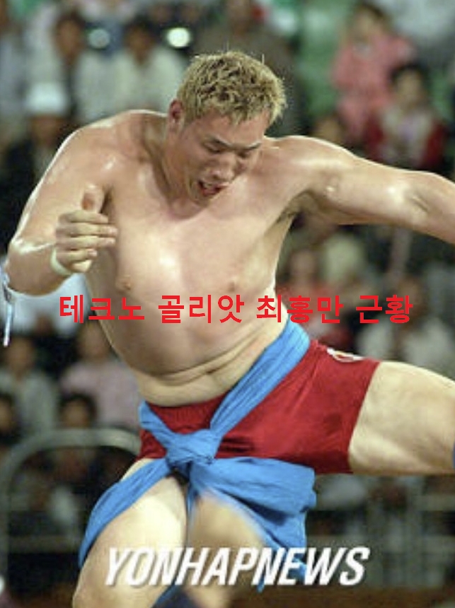 테크로 골리앗 최홍만 근황