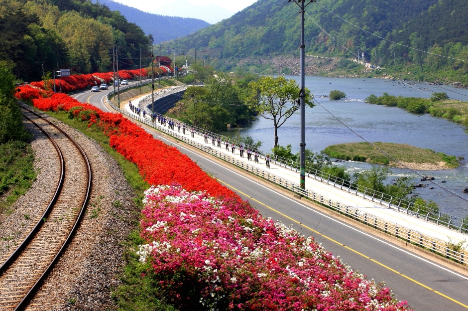 곡성 세계 장미 축제 주변 관광지 정보