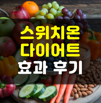 스위치온-다이어트