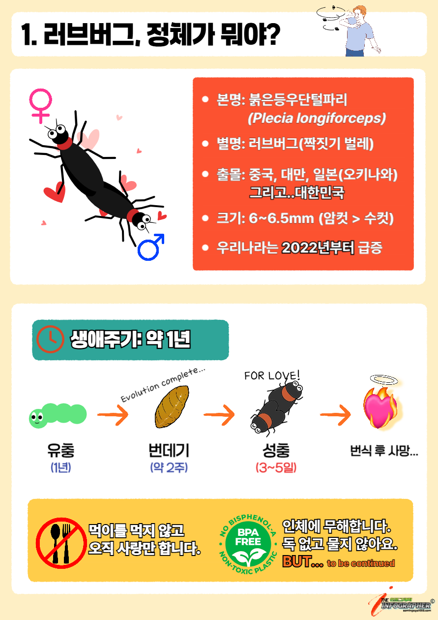 "그들은 돌아온다" 한여름의 검은 불청객, 러브버그의 모든 것(급증 원인 / 천적 / 퇴치 / 실생활 대처법)