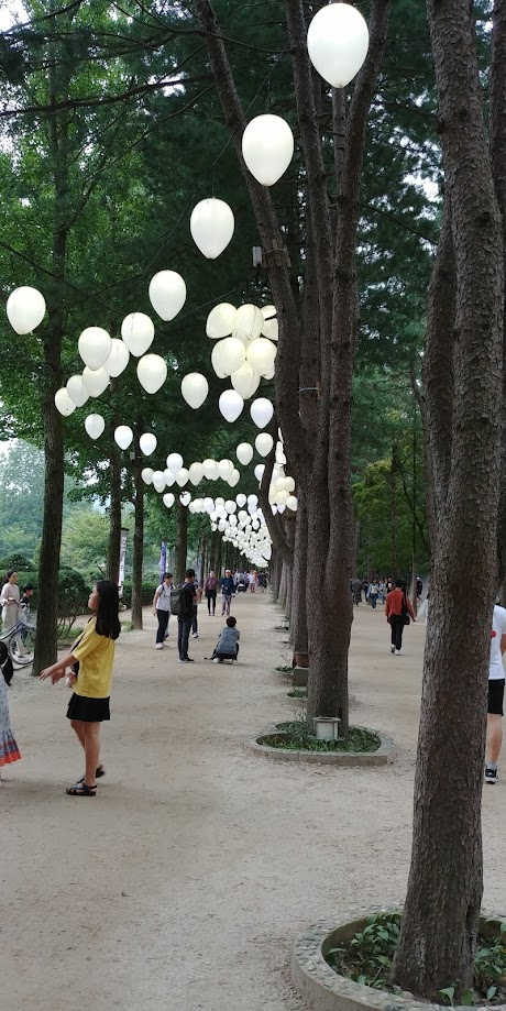 남이섬에서 아름답게 펼쳐진 조명등