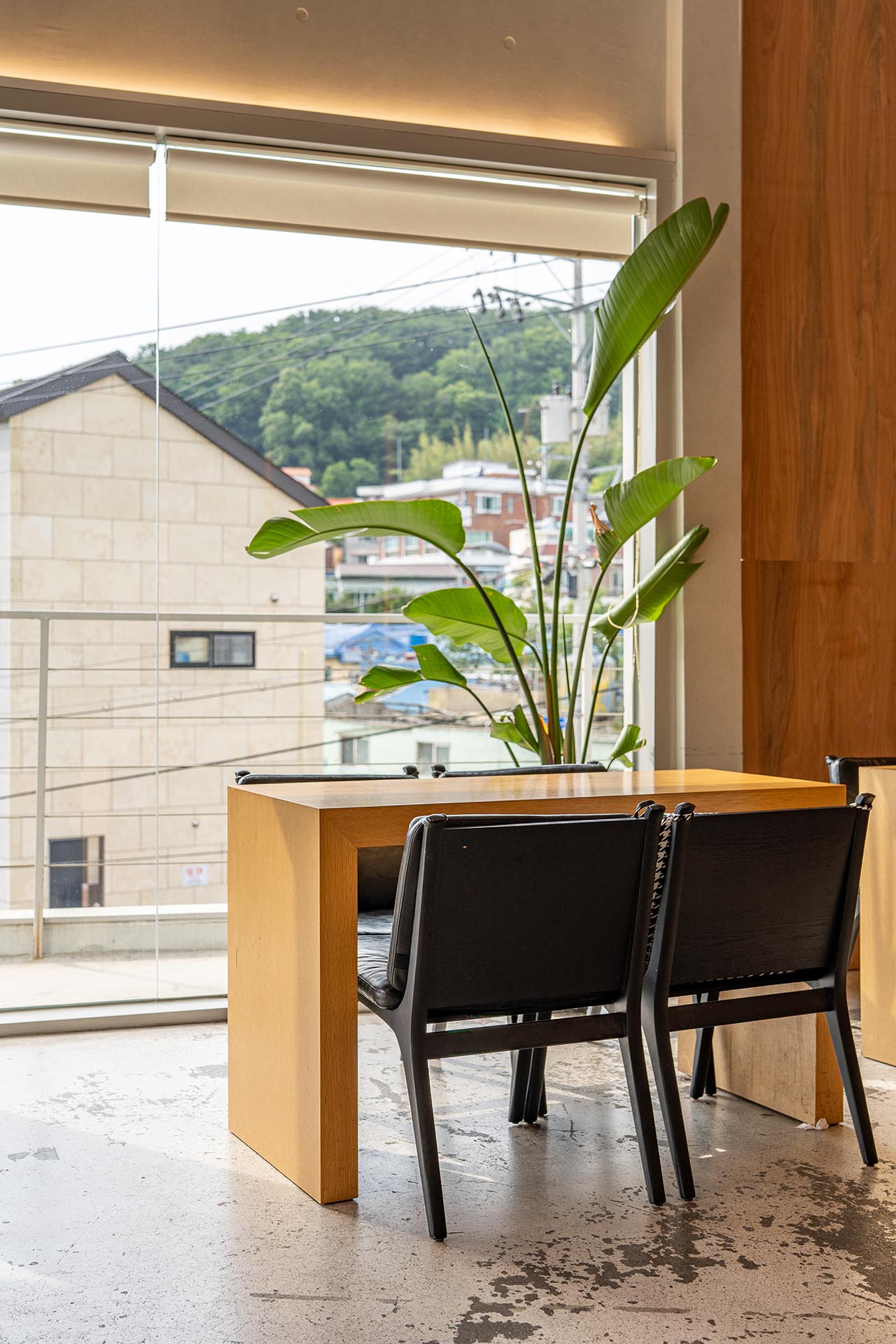 헤이든 신씨어 본관 2층