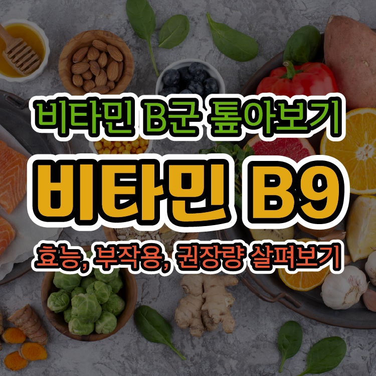 [비타민 B군 톺아보기] 비타민 B9(엽산) - 효능, 부작용, 권장량 살펴보기