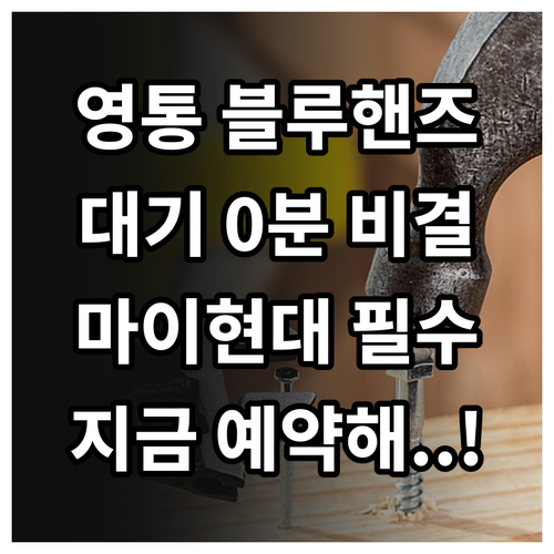 마이현대 앱 활용한 영통구 블루핸즈 ..