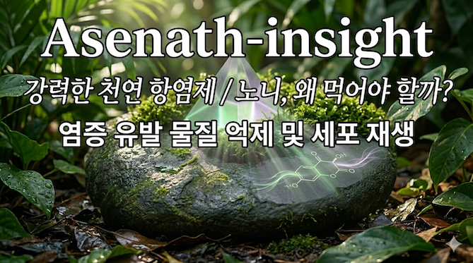 천연 항염제 노니의 5가지 핵심 효능