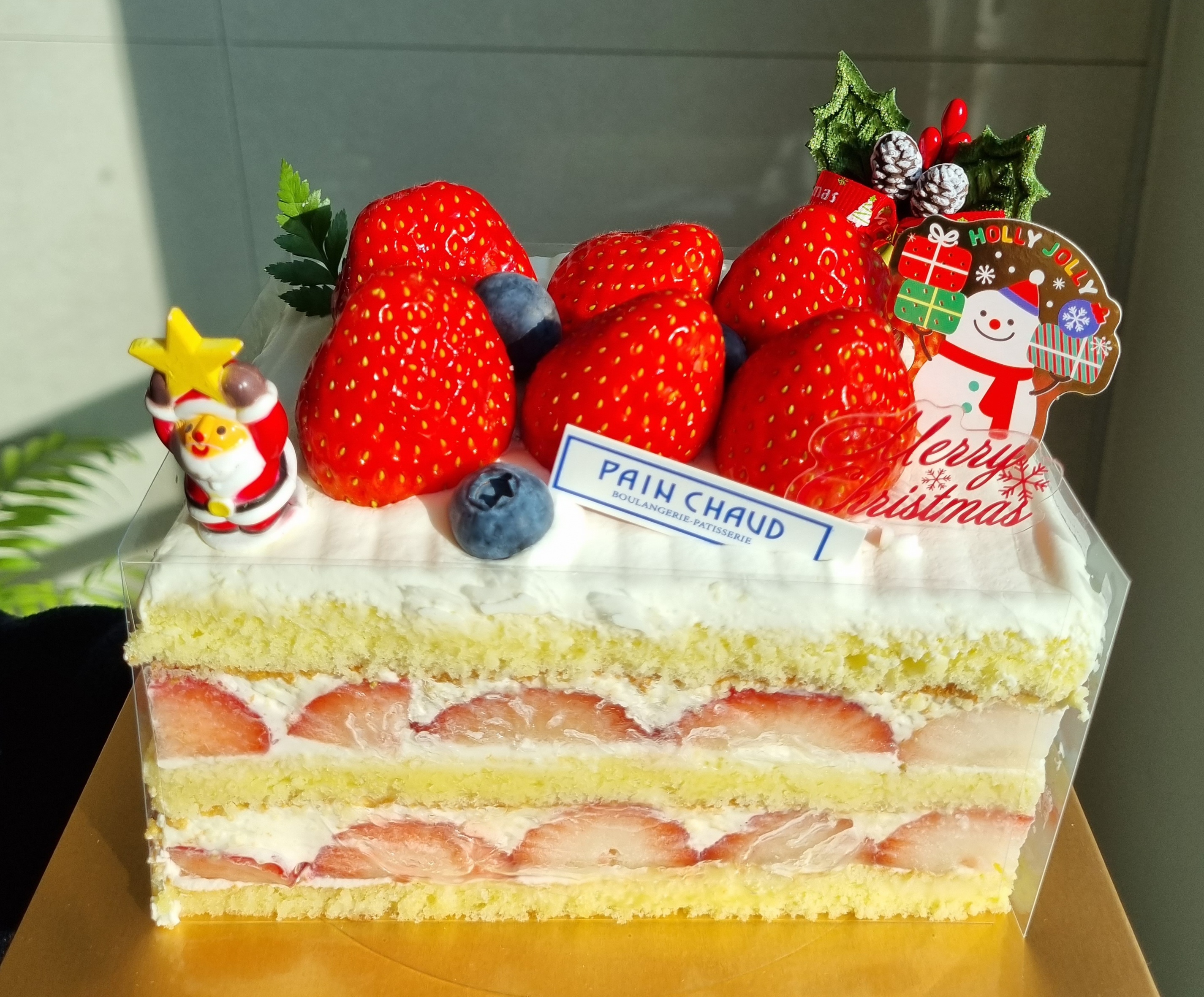 세종 맛집 팡쇼과자점 케이크 근처 빵집