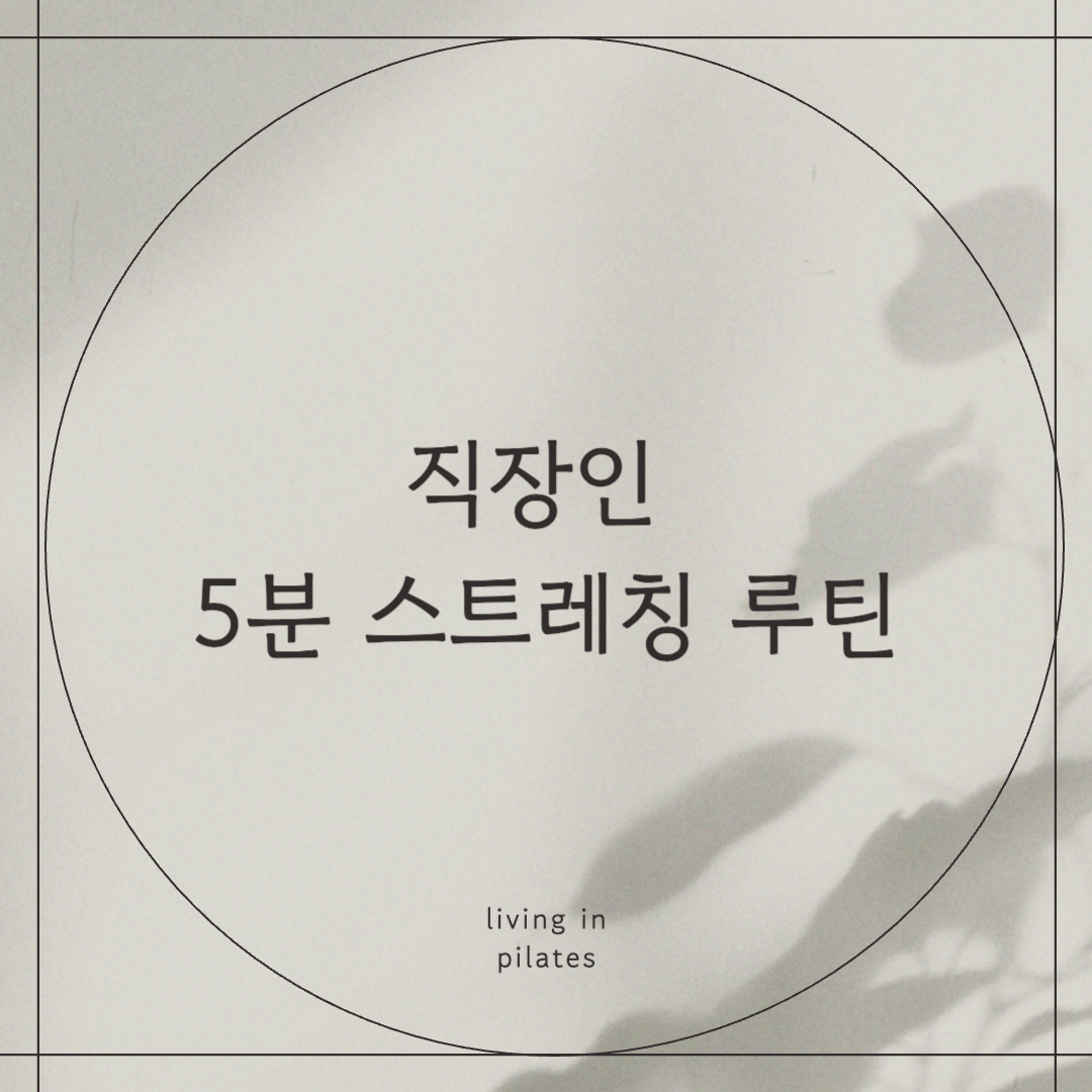직장인 5분 스트레칭 루틴