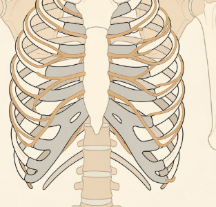 오른쪽 갈비뼈 아래 통증