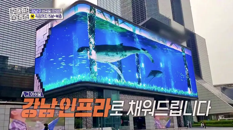 구해줘홈즈 강남구 세곡동 세모의 집 다가구 주택 하우스 매물 가격 및 구조 인테리어 리모델링 소개
