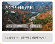 단풍여행지 추천