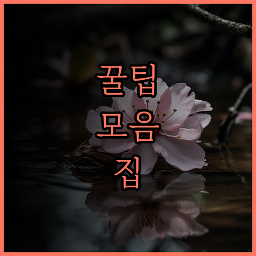 선플라워 인터내셔널 빌리지.. 하이퐁