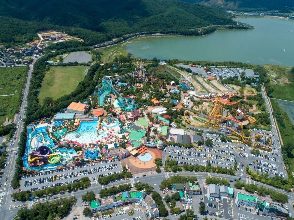 경주 가볼만한 곳 베스트 10 (2025 최신판)