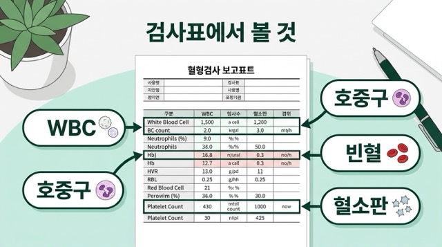 백혈구 검사표 WBC와 호중구 수치 확인 방법