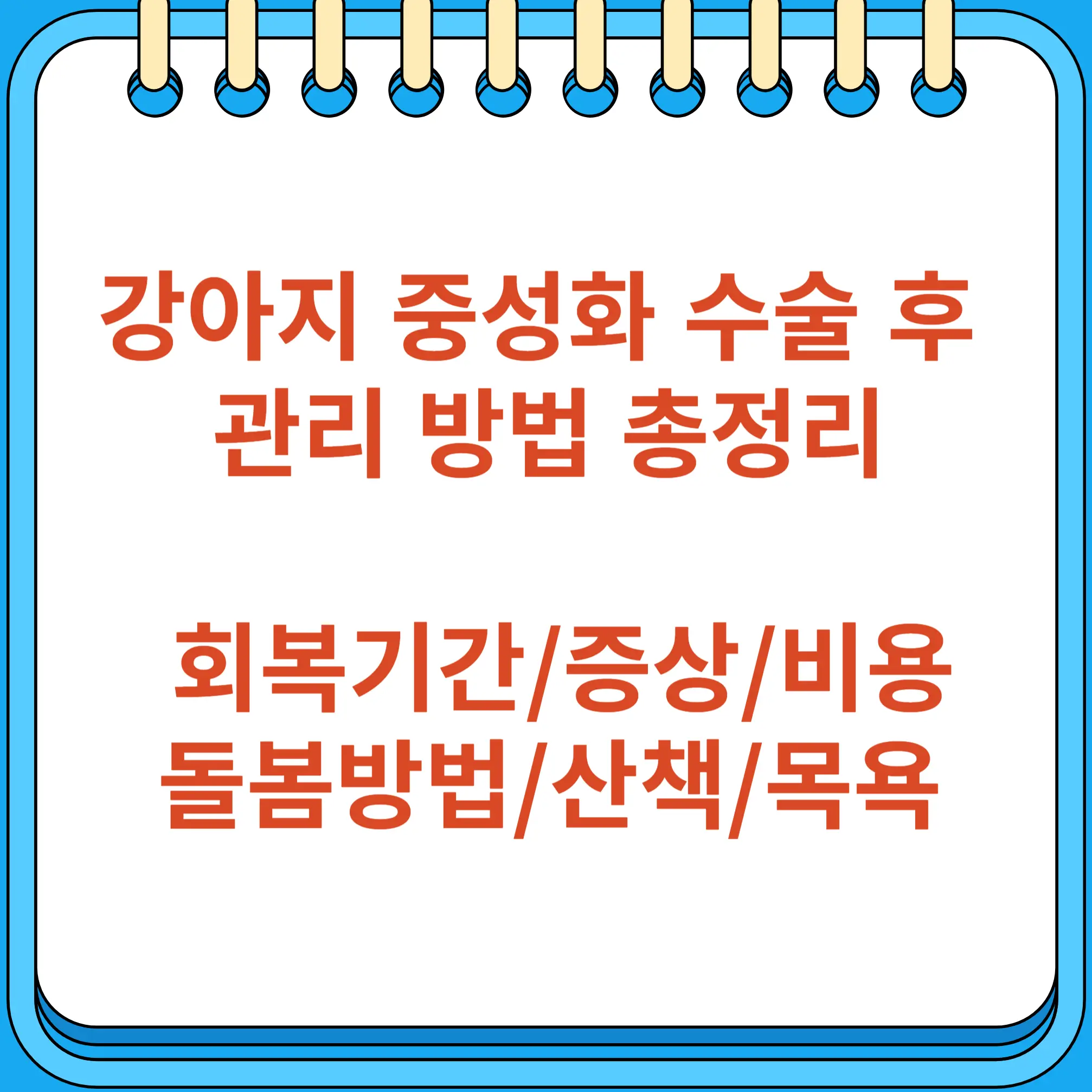 강아지 중성화 수술 후 관리 방법 총정리 회복기간 증상 돌봄 방법 산책 목욕 시기까지