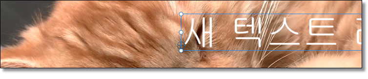 프리미어프로-로고-자막