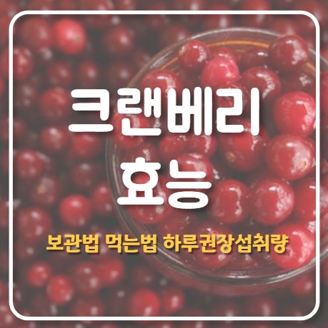 크랜베리 효능