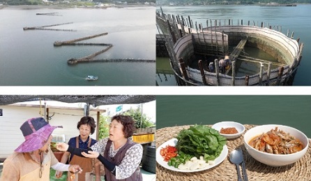 남해군멸치