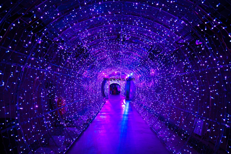 단양 가볼만한곳