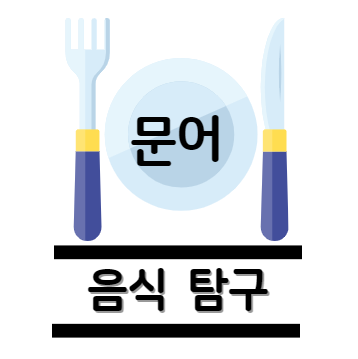 문어 탐구