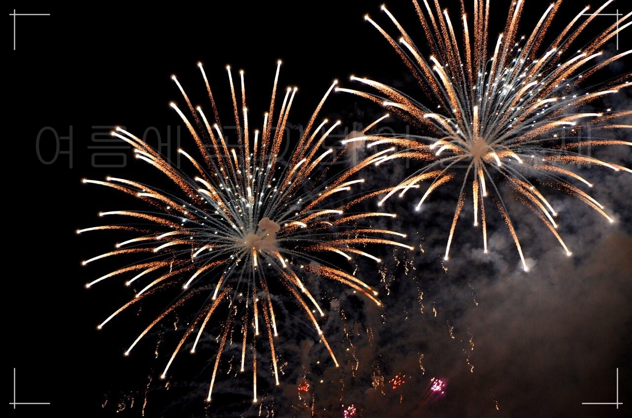 인기 축제 BEST 7, 올해 가장 기대되는 축제, 여름에 꼭 가봐야 할 인기있는 축제