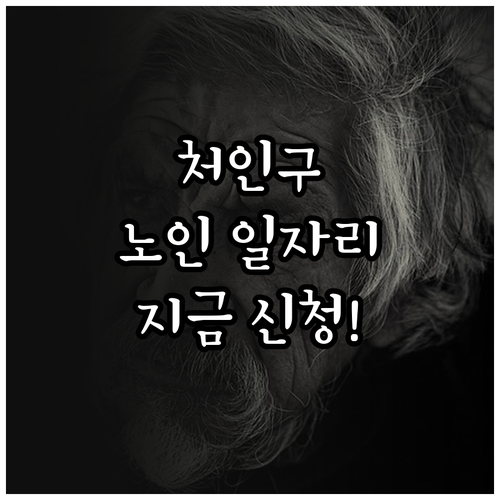 용인시 처인구 시니어클럽 노인 일자리..
