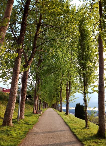 산티아고 공원 사진