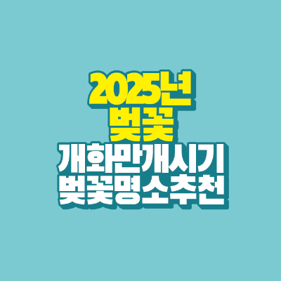 썸네일-2025년-벚꽃-개화-만개-시기-벚꽃-명소-추천