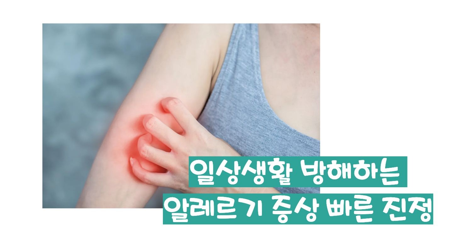 지르텍 효능