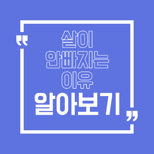 살이 잘 안 빠지는 이유 다이어트를 방해하는 생활 패턴