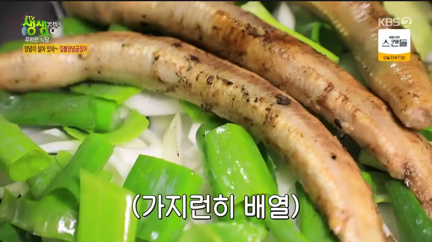곰장어
