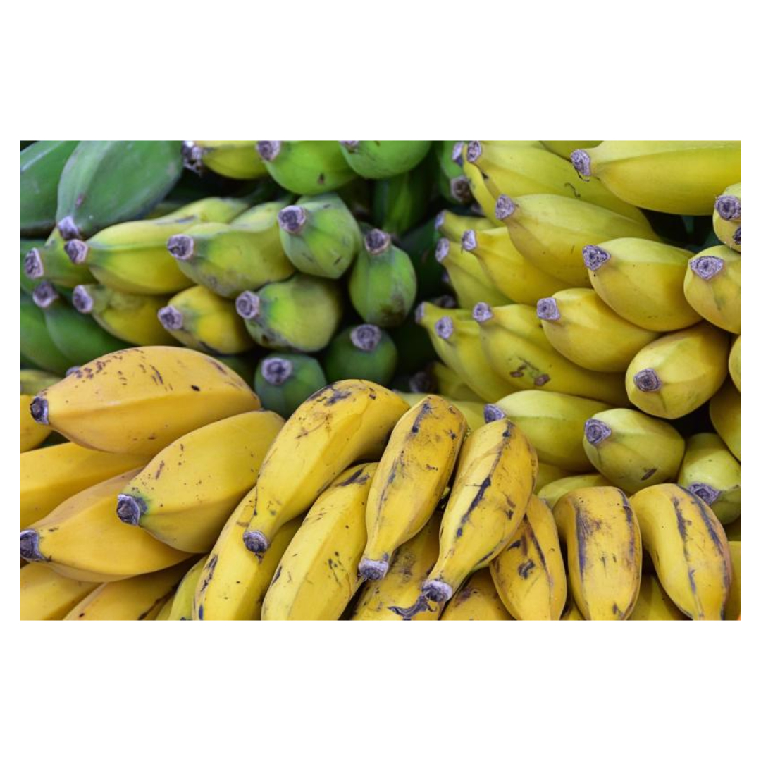 담낭제거수술과 관련된 사진입니다.