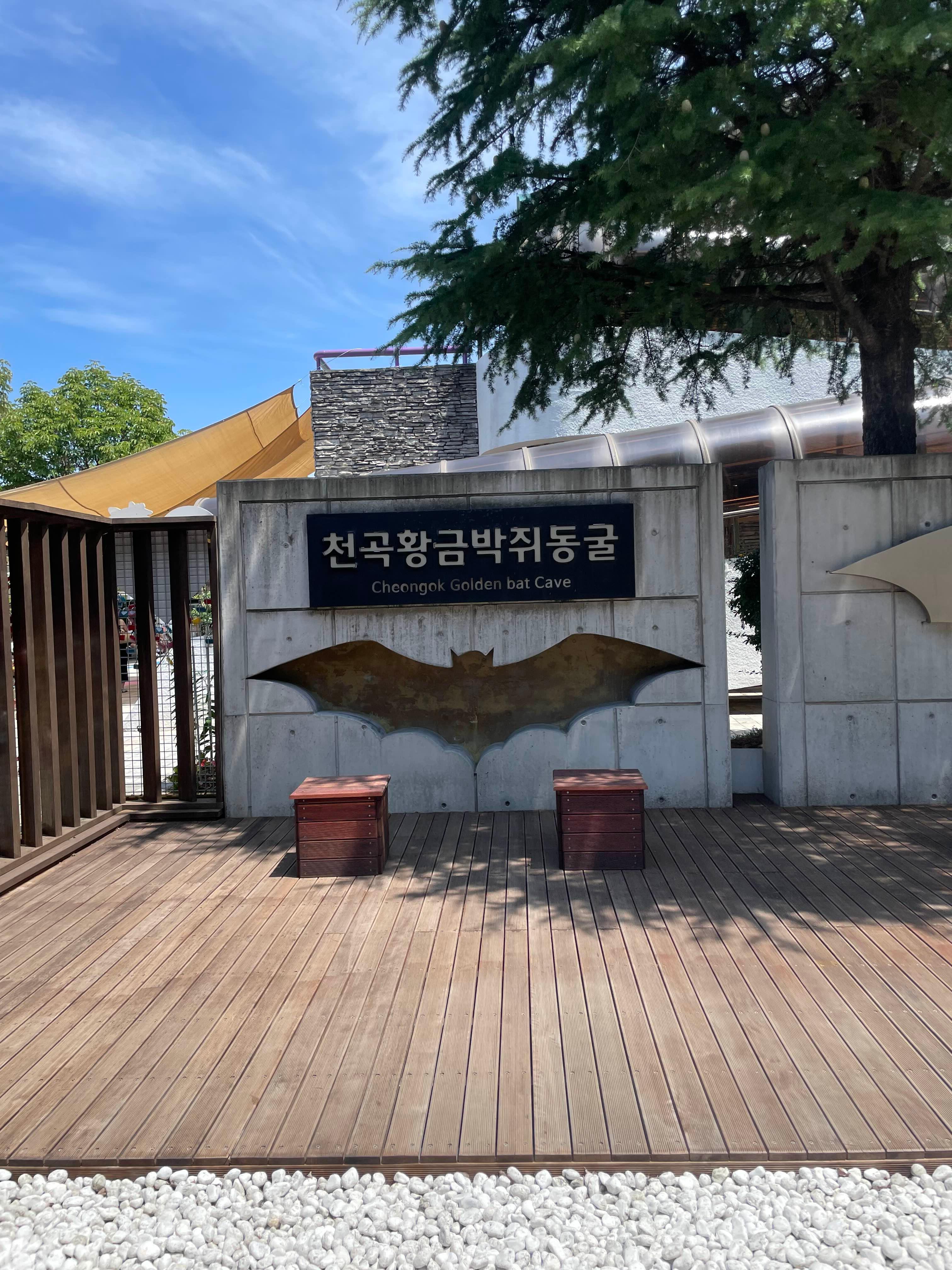 천곡황금박쥐동굴