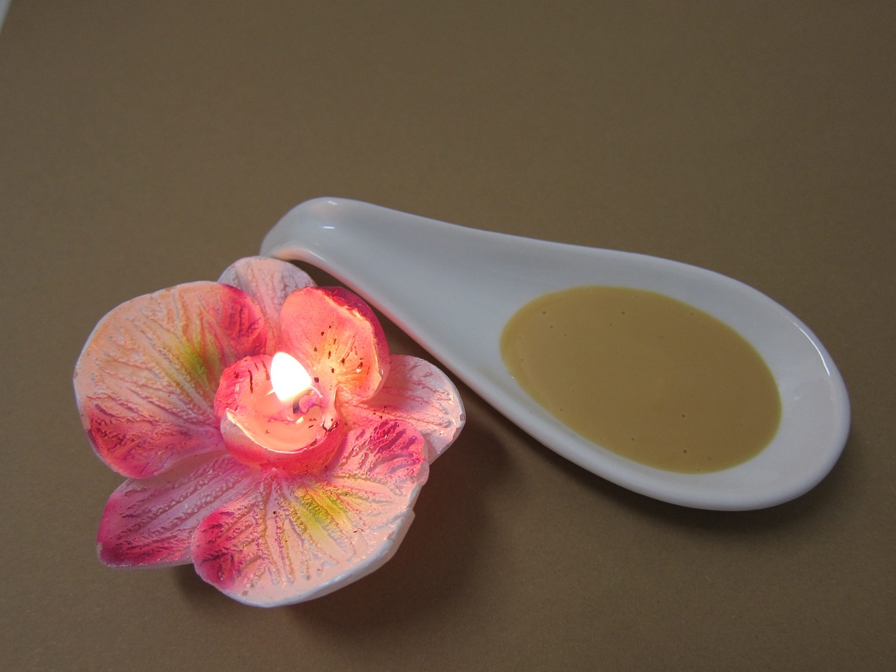 뇌영양제 - 레시틴