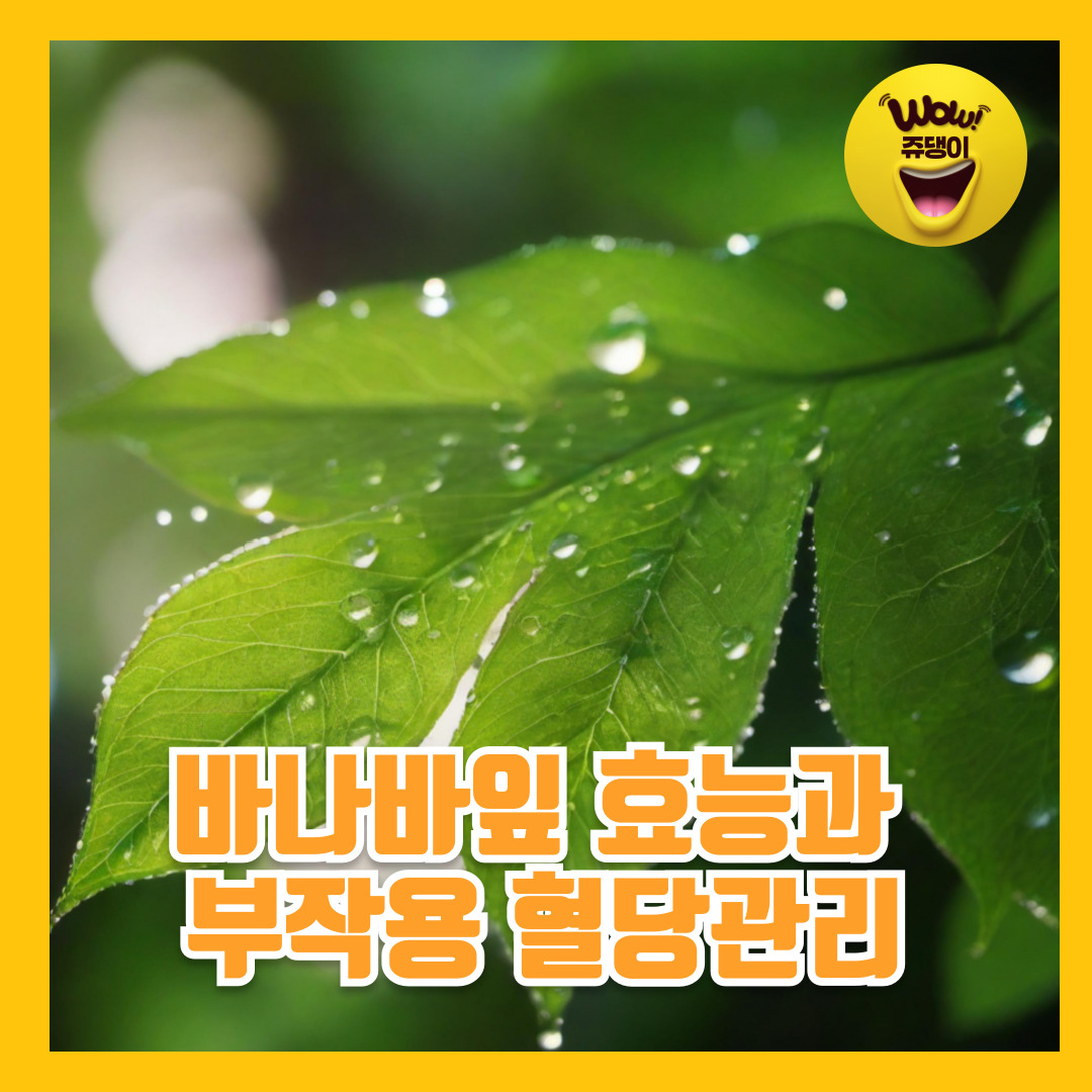 바나바잎 효능 바나바잎차 혈당관리 바나바 6mg 부작용