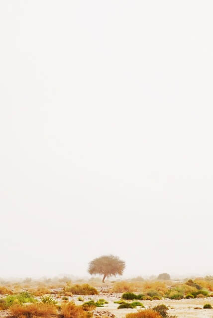 미니멀리즘 재정관리