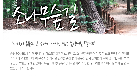 소나무숲길이라 불리는 1구간의 상세 정보와 코스 특징이 설명된 화면