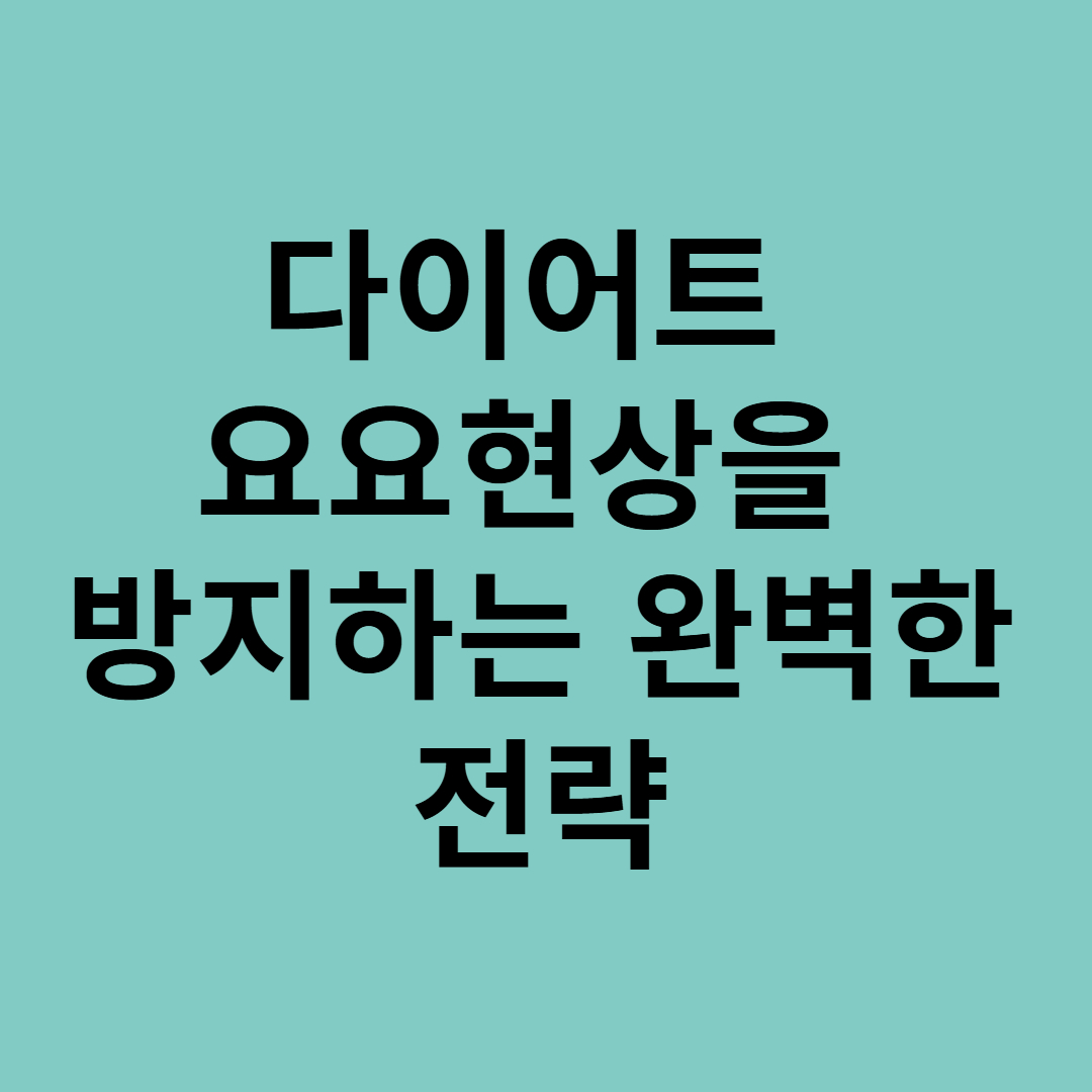 다이어트 요요현상을 방지하는 완벽한 전략