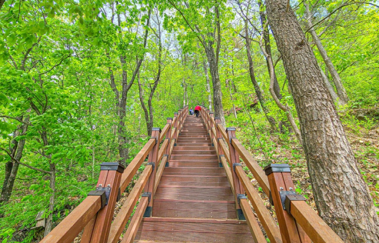 봉명산 출렁다리