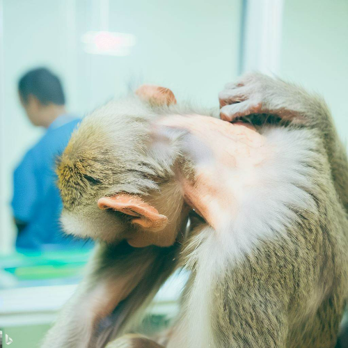 후두 신경통 치료