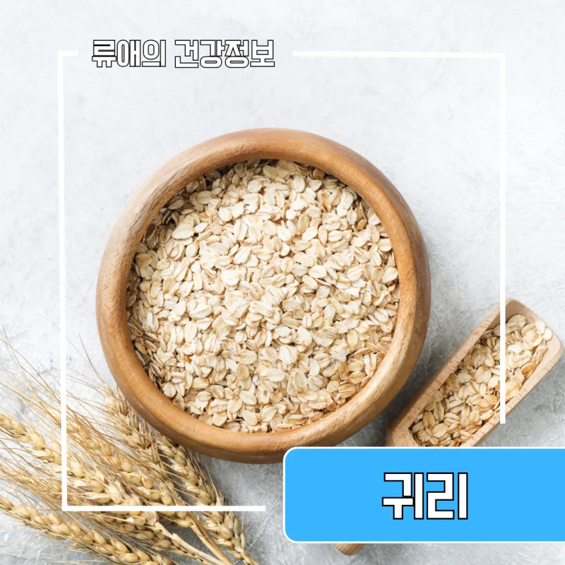귀리 효능과 부작용 귀리 오트밀 차이점 안내_2