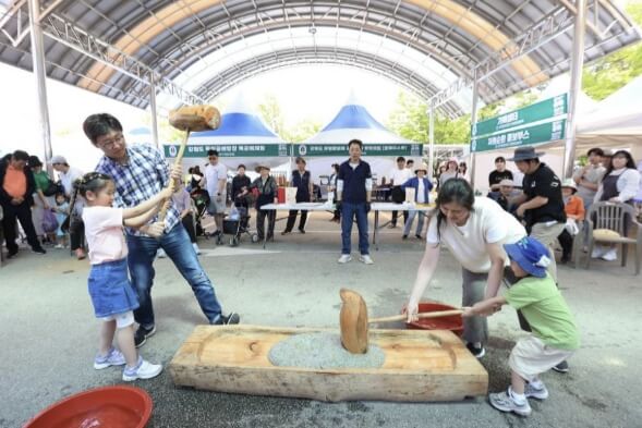 청춘양구 곰취축제